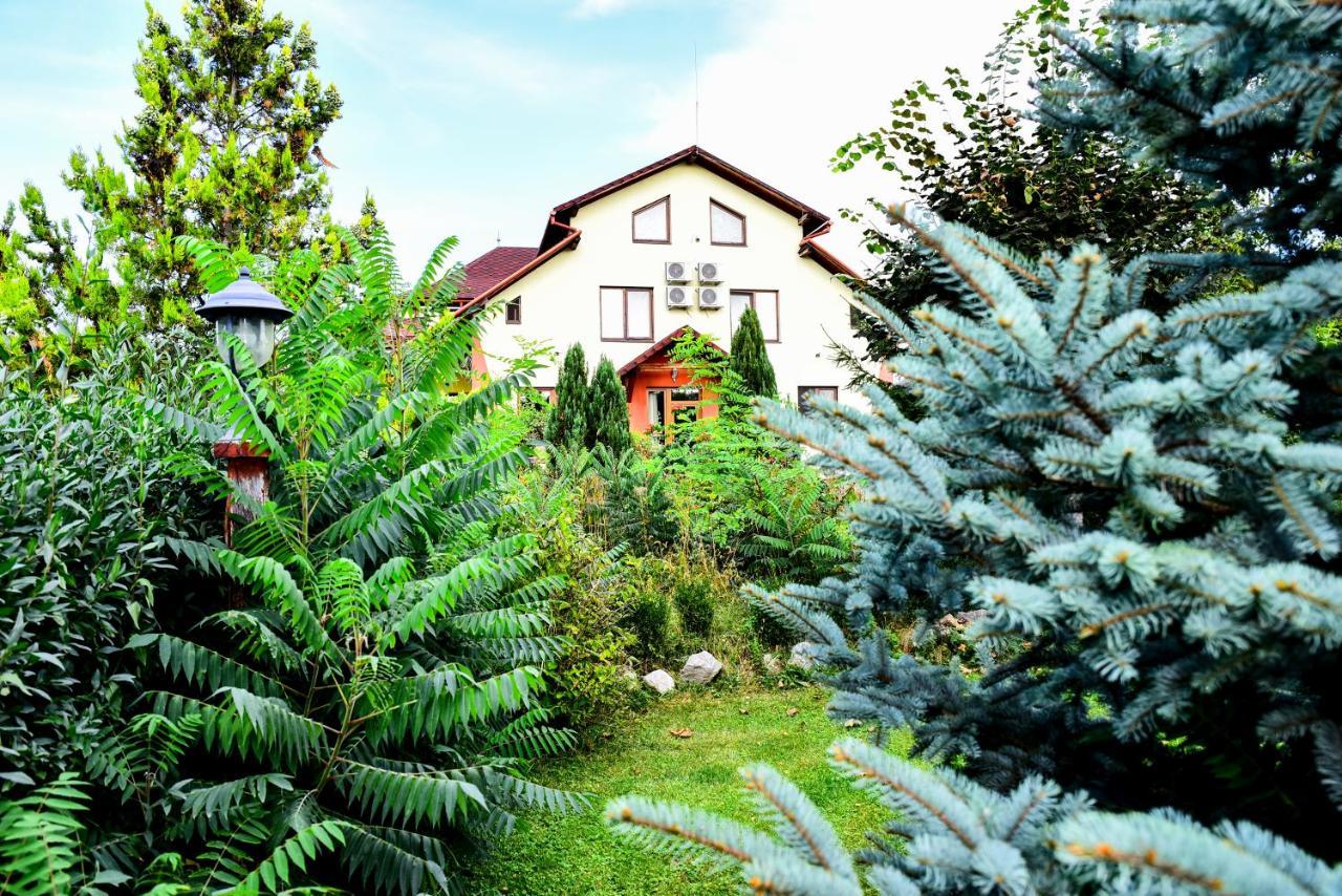 Casa Moteasca Hotel Mihai Viteazu  Exterior foto